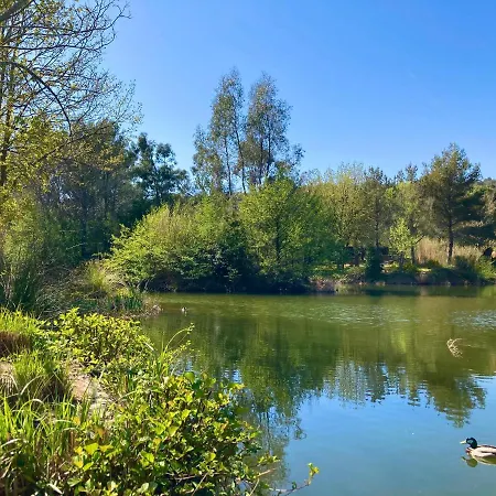 Les Restanques 21 Pins 7pers Holiday home *