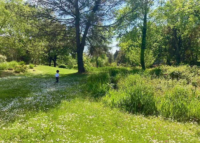 Les Restanques 21 Pins 7pers