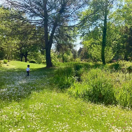 Les Restanques 21 Pins 7pers