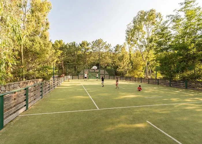 Les Restanques 21 Pins 7pers Vakantiehuis Grimaud